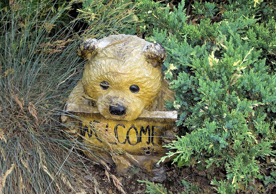 Nature objects bear