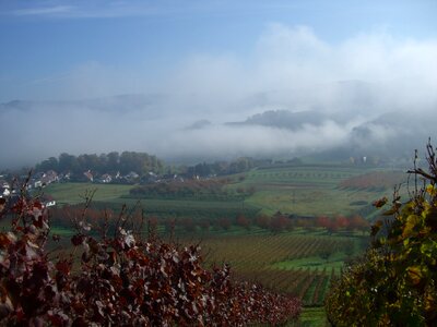 Fog ortenau oberkirch photo