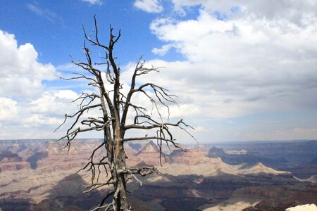 Death colorado contrast