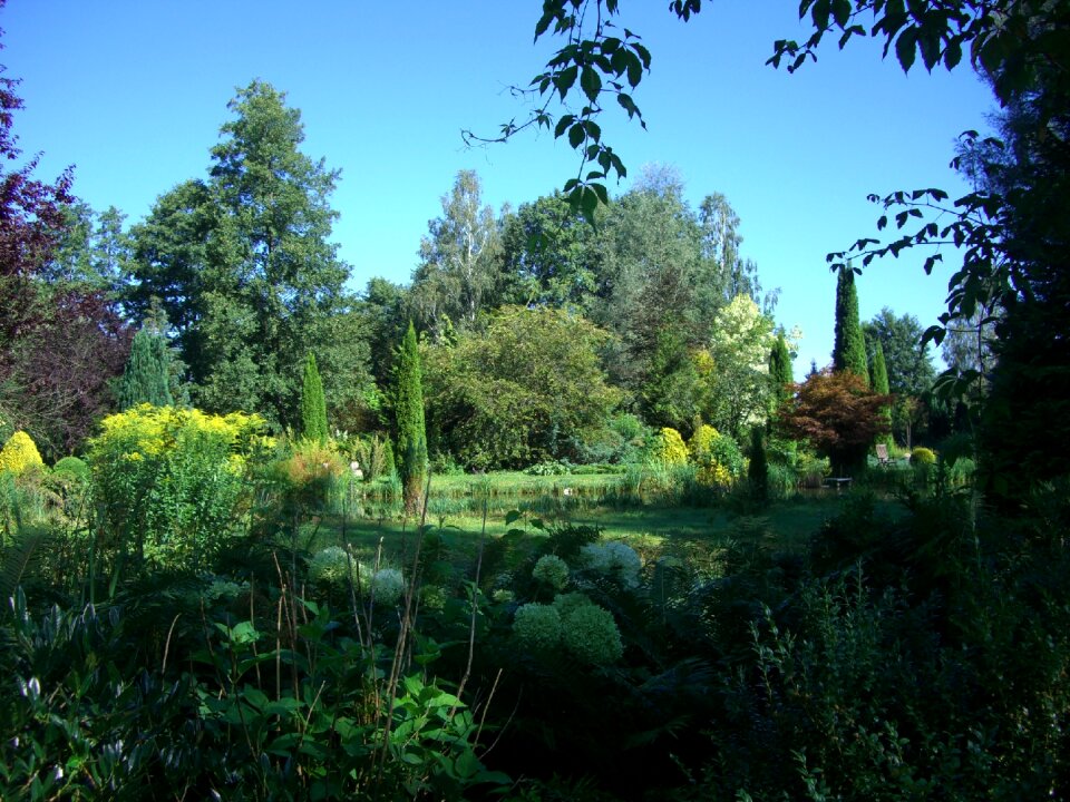 Bavaria paradise plants green