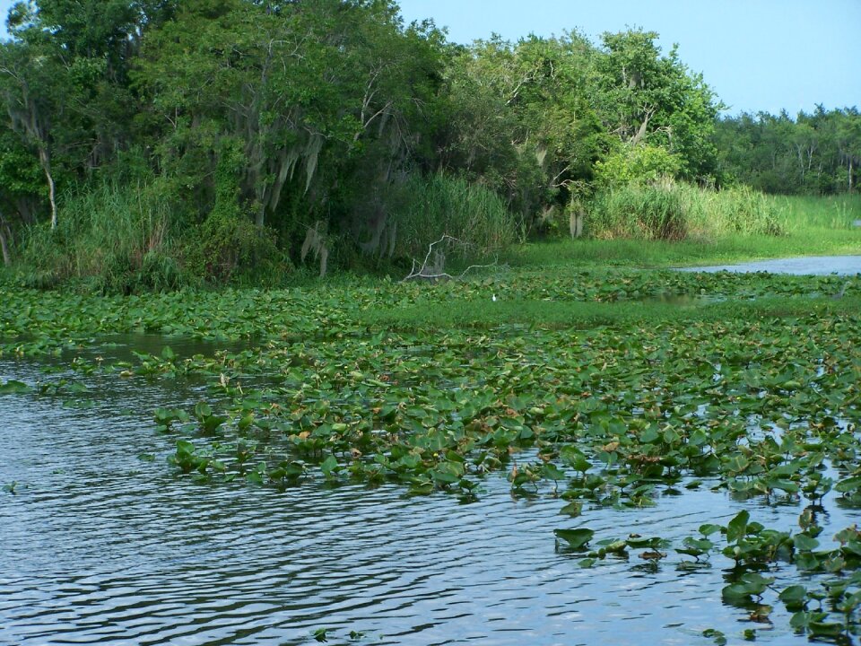 River water shoreline
