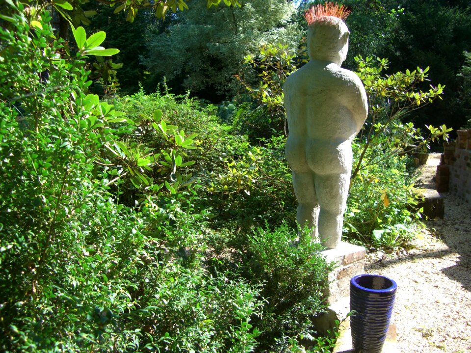 Bavaria paradise plants green