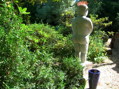 Bavaria paradise plants green