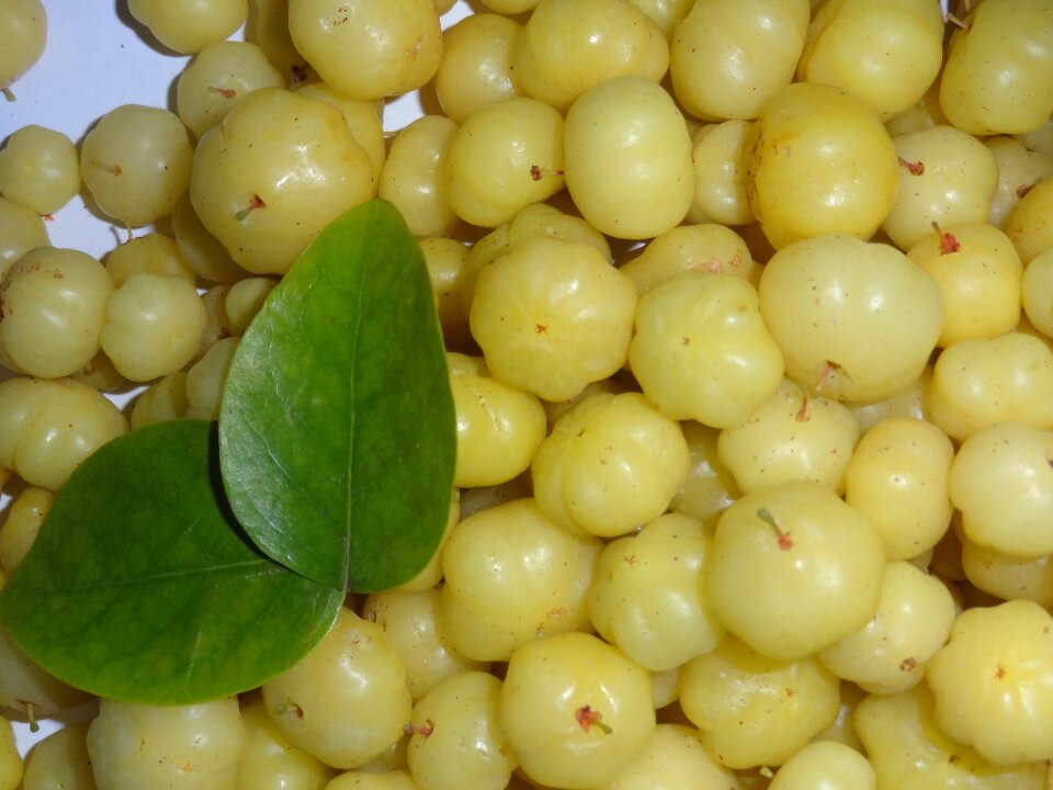 Indian gooseberry sour fruit