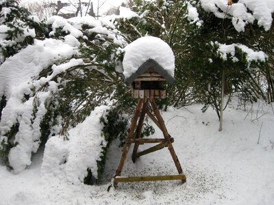 Aviary snow feeding photo