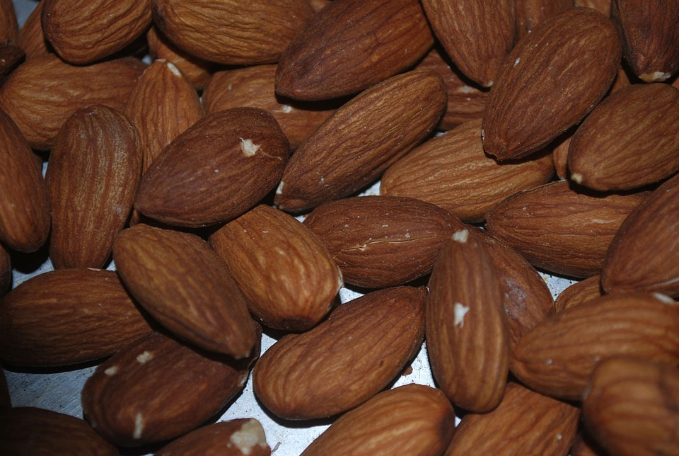 Nutrition snack food
