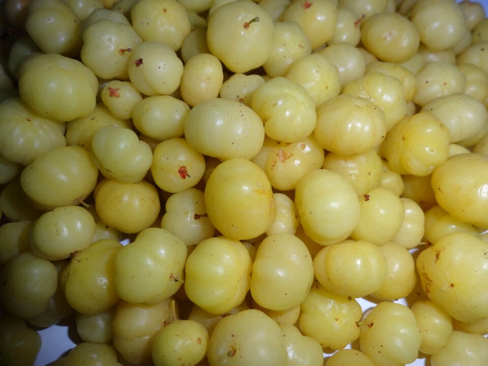 Indian gooseberry sour fruit