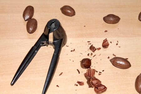 Nuts pecans nutshell