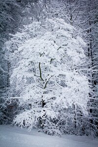 Weather winter snowing