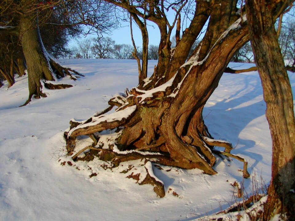 Snow cold snow magic