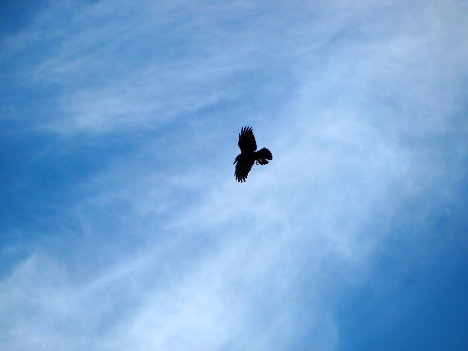 Flight sky clouds photo