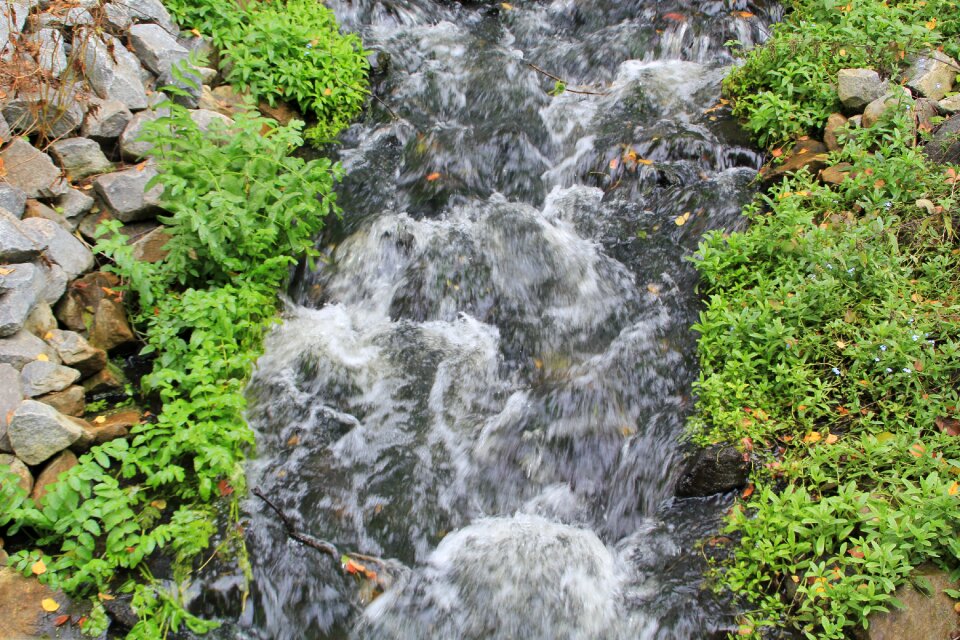 Waters river rock