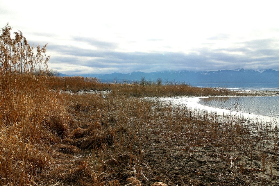 Live habitat protection
