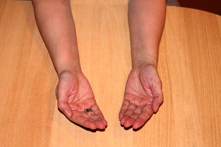 Hands human poor