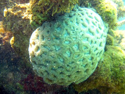 Bahia ocean brazil