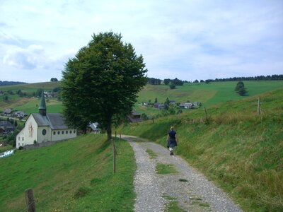 Trail schauinsland fresh photo