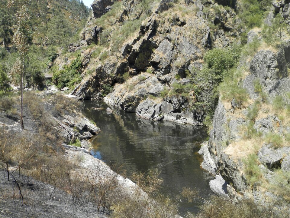 Pond water refreshing
