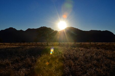 Grass sun sky