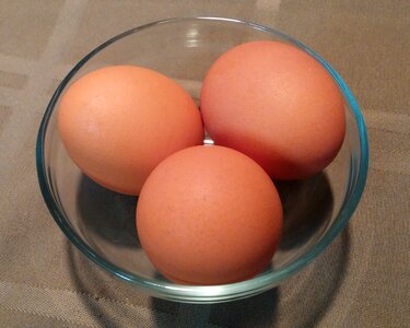 Shell bowl chicken photo