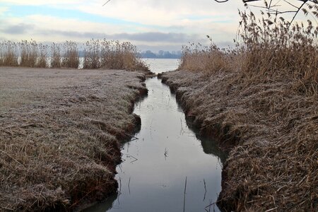 Channel meadow swamp