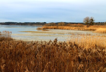 Live habitat protection photo