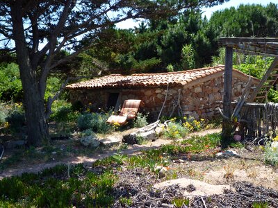 Nature rest france photo