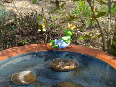 Pebbles frog prince toad