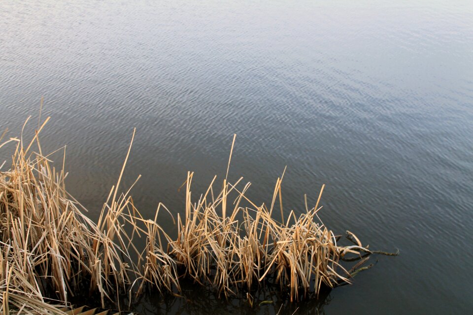 Water landscape waters