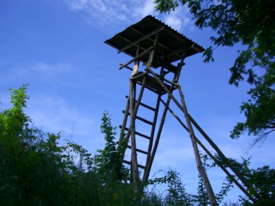 Wooden tower perch sky blue