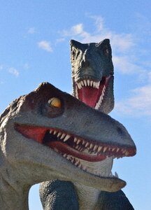 Dinosaur reptile jurassic photo