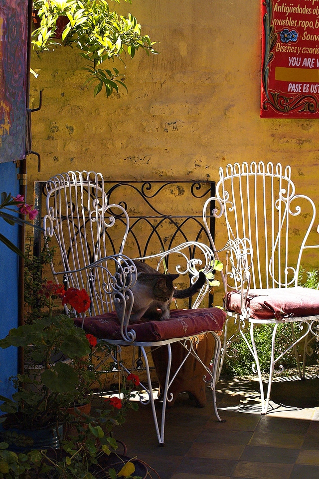Colorful caminito buenos aires