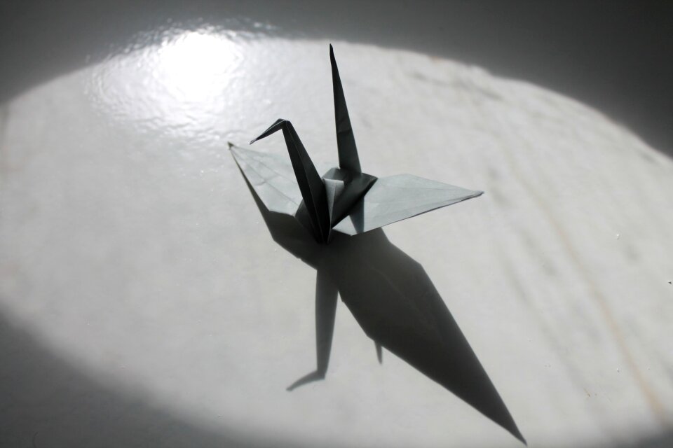 Paper crane crane origami