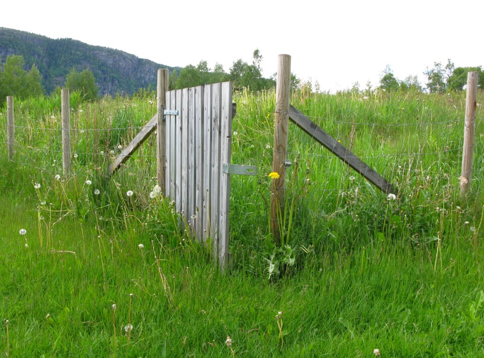 Wire demarcation meadow