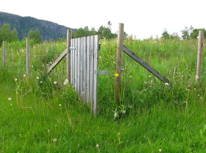 Wire demarcation meadow