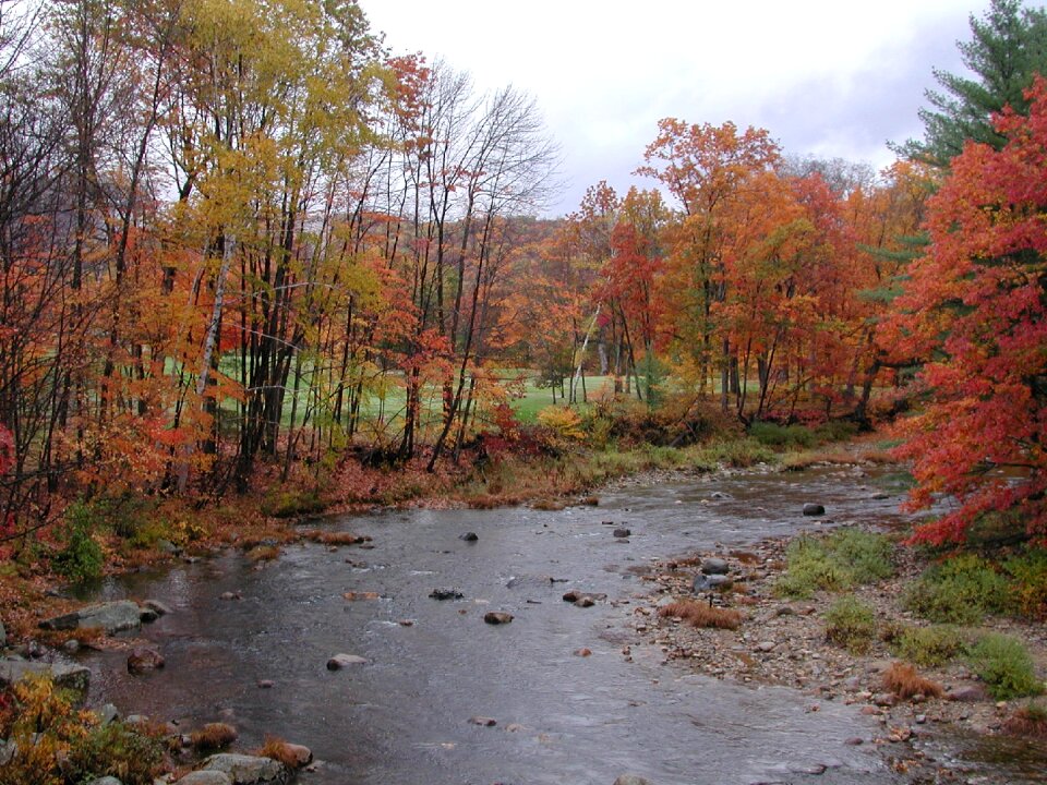 Brook fall colors fall