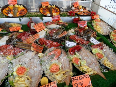 Sea fishmonger food photo