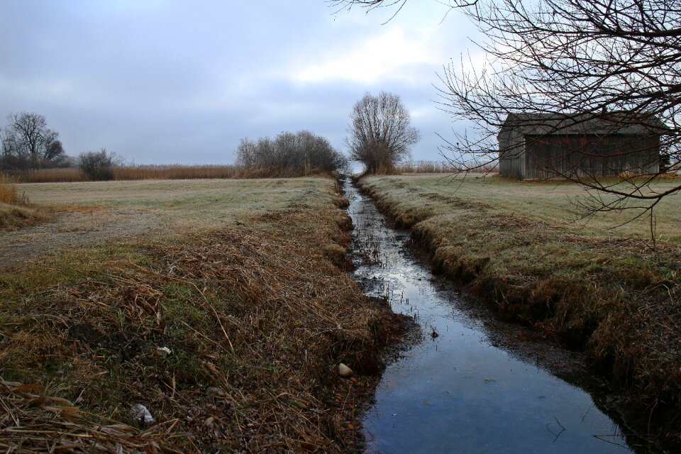 Channel meadow swamp