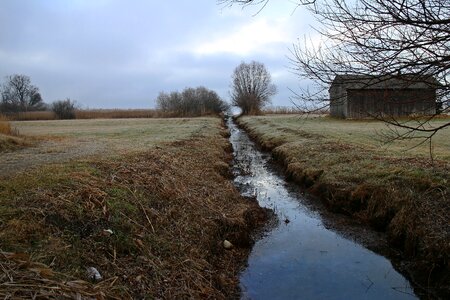 Channel meadow swamp