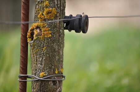 Power cord rustic nature
