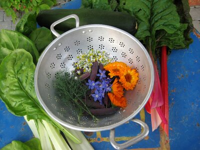 Harvest vegetables herbs