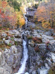 Fall leaves stream mountain