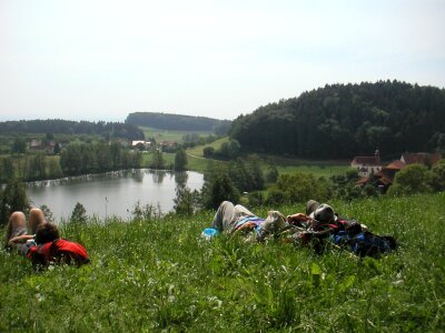 Rest concerns grass photo