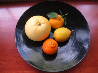 Grapefruit lemons citrus photo