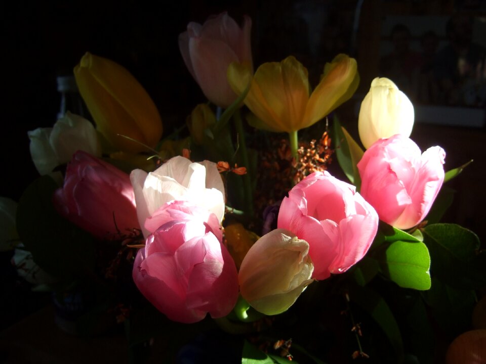 Spring red pink