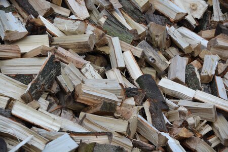 Tree wood for stove split wood