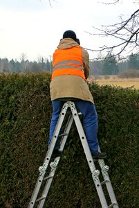 Hedge over the hedge look look
