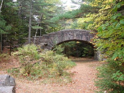 Forest path trail photo