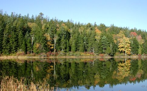 Autumn water lake photo