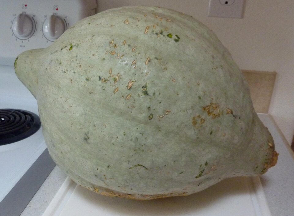 Food vegetable fall