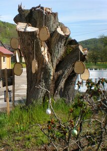 Hung tree grates egg washers photo